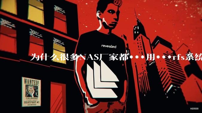 为什么很多NAS厂家都***用***rfs系统，而不是更稳定的zfs?